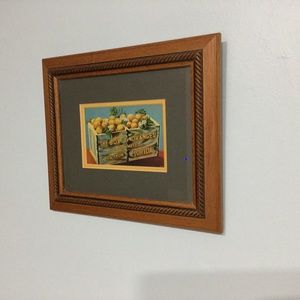 Vintage Florida Box of Oranges Print in Wood Frame